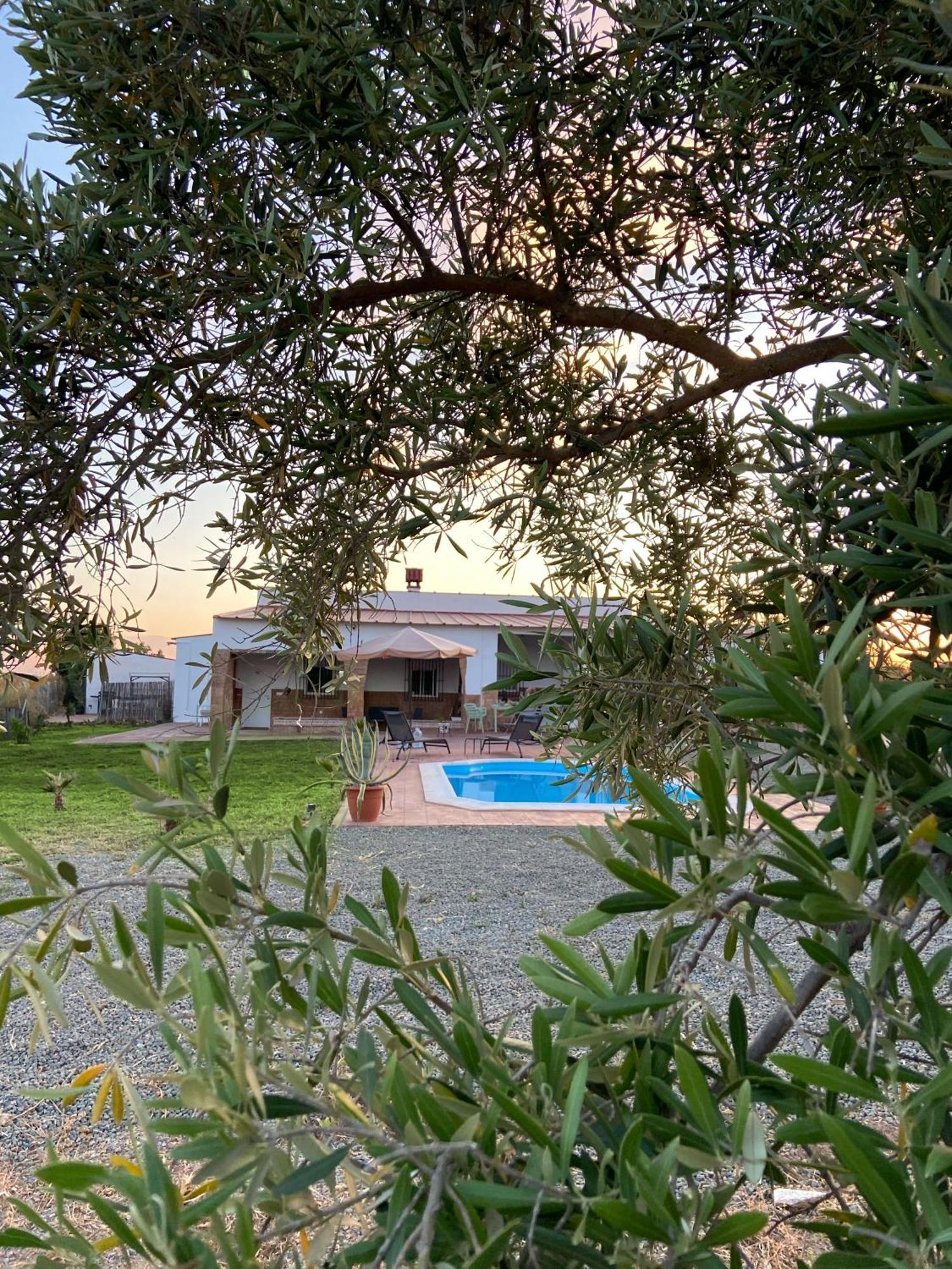 Hacienda Donaire Beas Διαμέρισμα Εξωτερικό φωτογραφία
